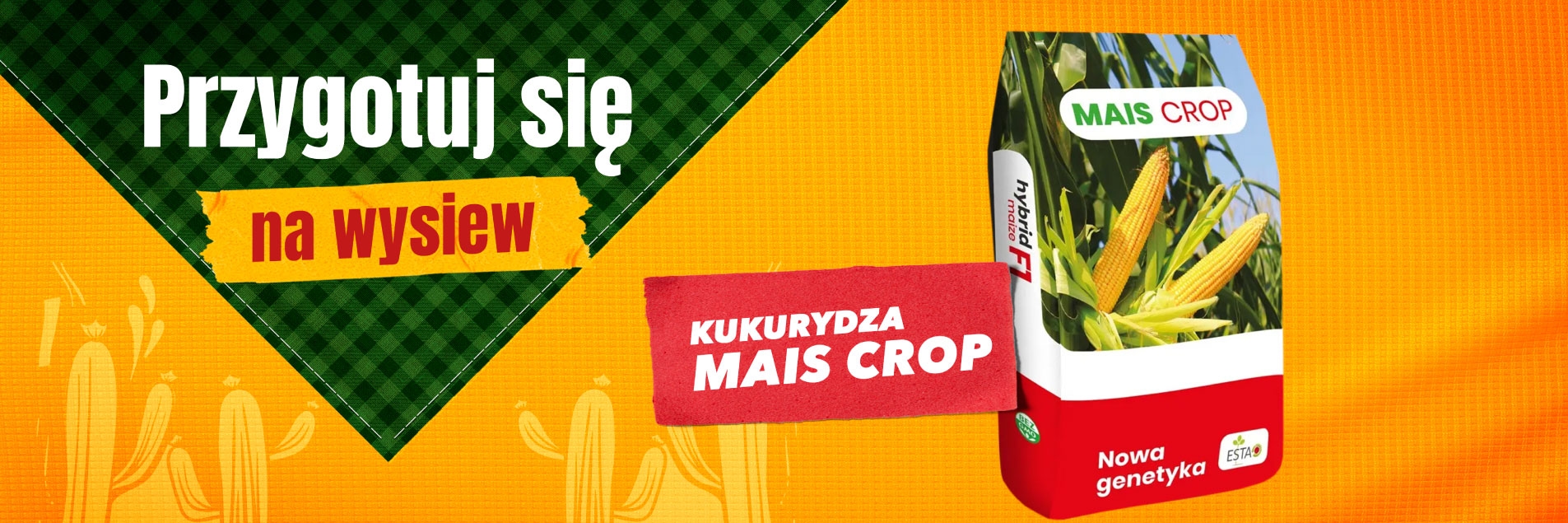 Folia do bel Ensibal