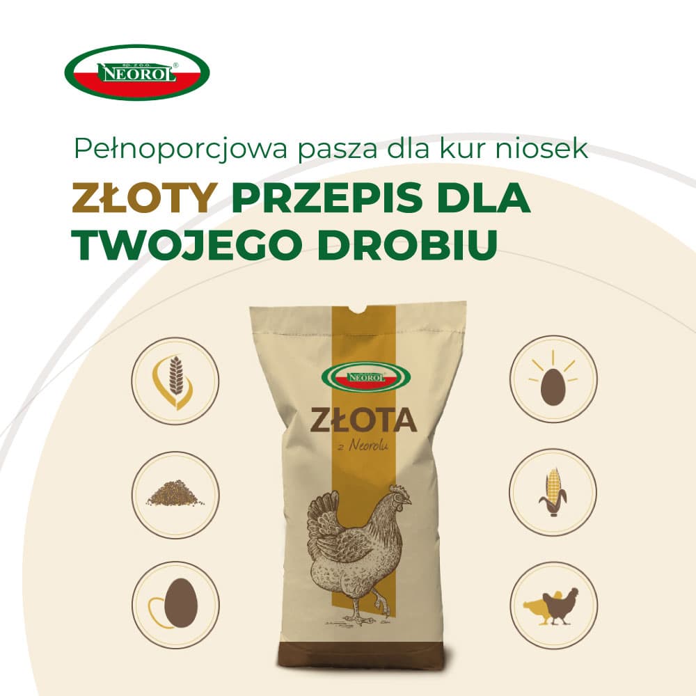 Pasze dla kury NEOROL