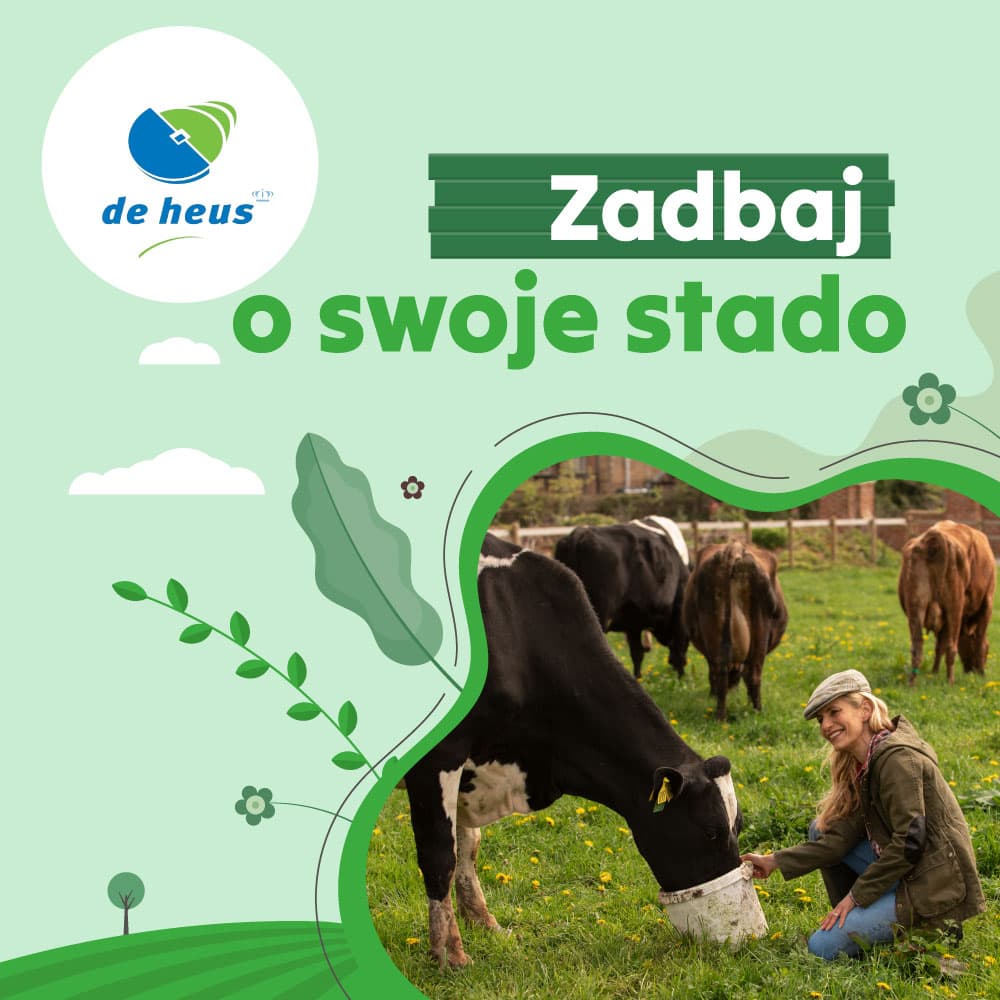 Pasze dla bydła DE HAUS