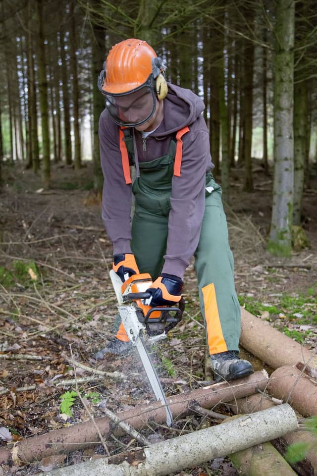 Rękawice robocze Forester, Kerbl