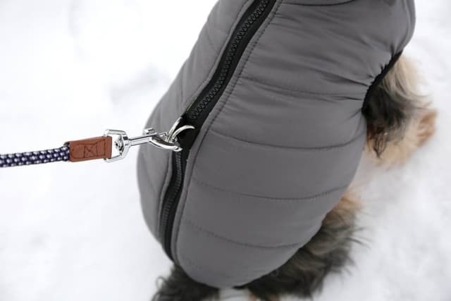 Płaszczyk dla psa Charmonix, 35 cm, S, Kerbl