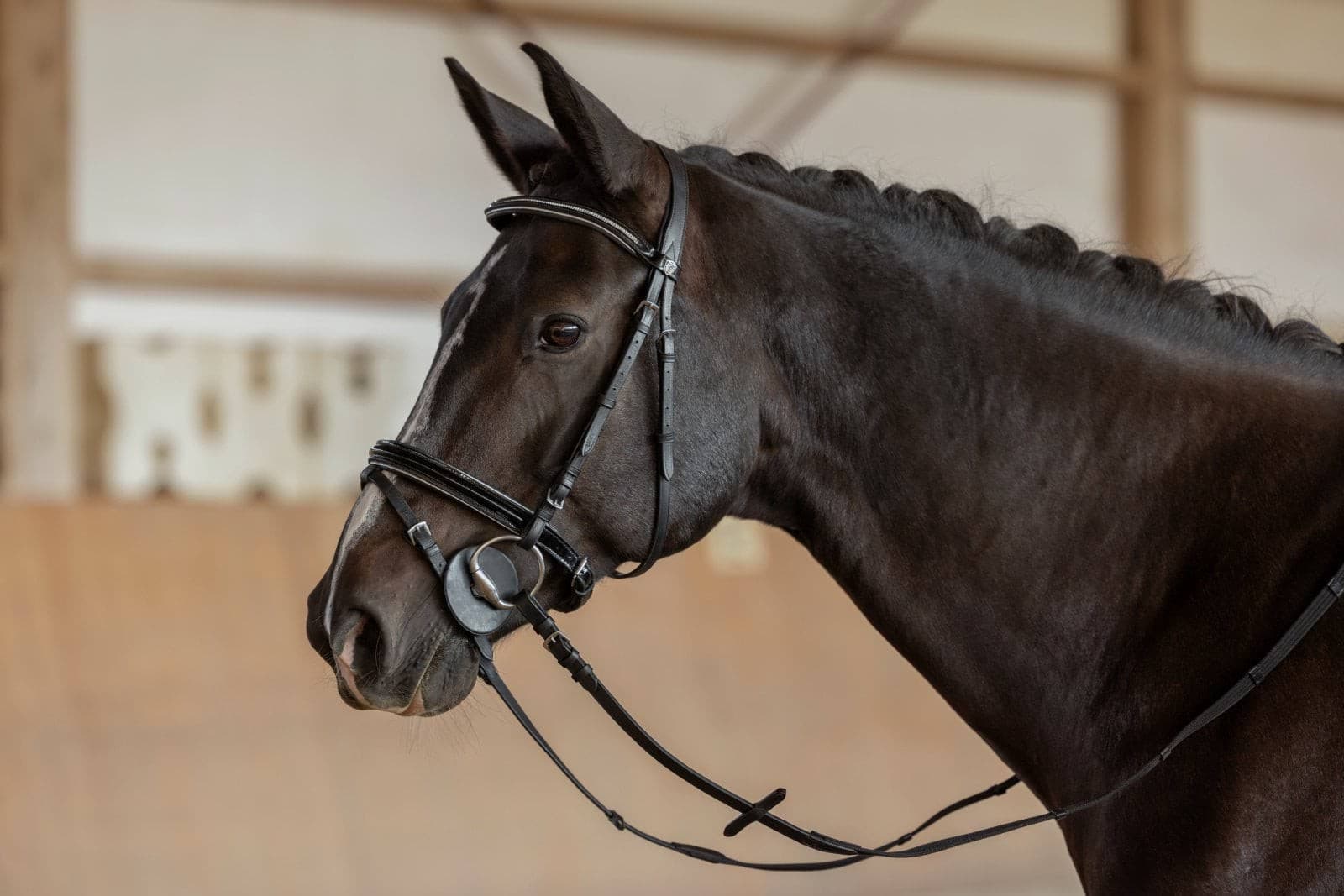 Ogłowie dla konia Standard, czarny, roz. Pony, Covalliero