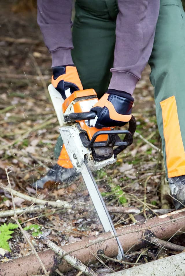 Rękawice robocze Forester, Kerbl