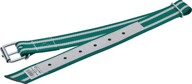Obroża dla cieląt Classic, 85 x 4 cm, biały/zielony, Can Agri