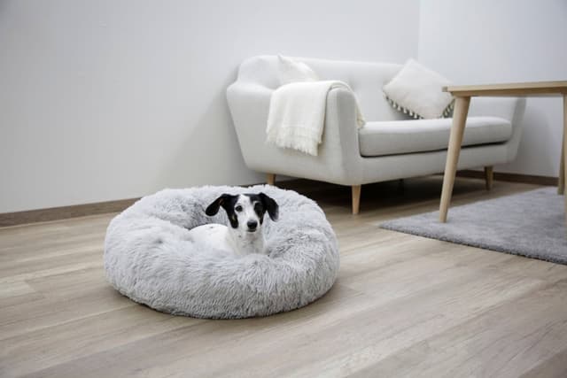 Legowisko dla psa Fluffy, jasnoszare, 18 cm Ø 60 cm, Kerbl
