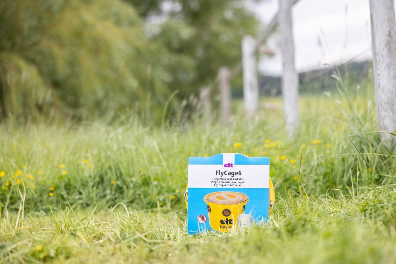 Pułapka na muchy FlyCage6, z atraktantem 750 g, Cit