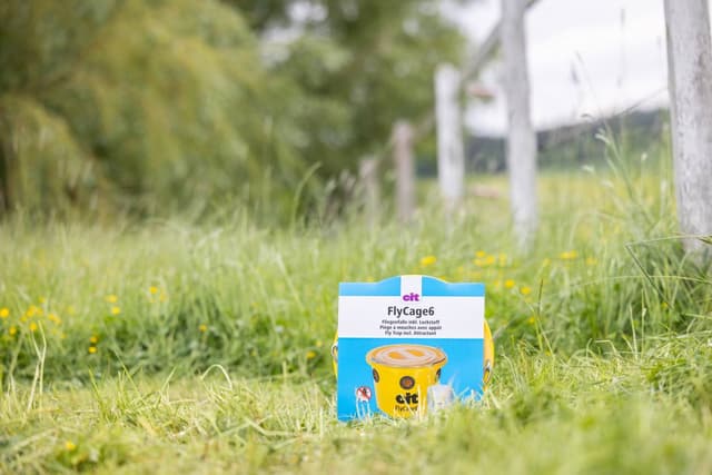 Pułapka na muchy FlyCage6, z atraktantem 750 g, Cit