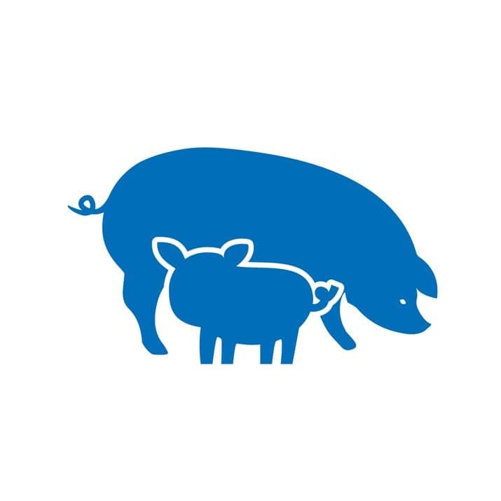 Pig Enzyme 1