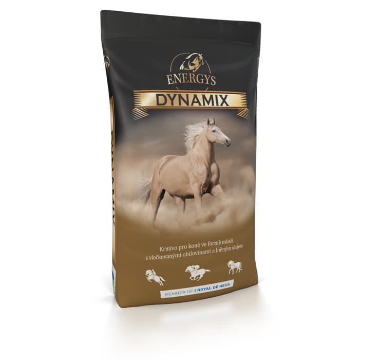 Energys Dynamix