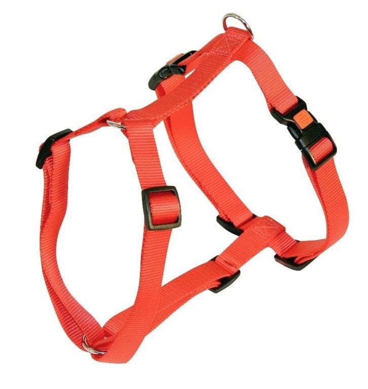 Szelki dla psa Miami, 40 - 57 cm x 15 mm, czerwone, Kerbl