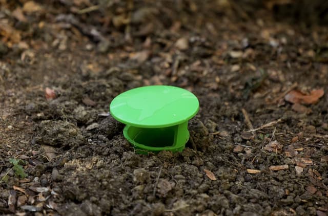 Pułapka na ślimaki SnailBowl CIT skuteczna ochrona ogrodu