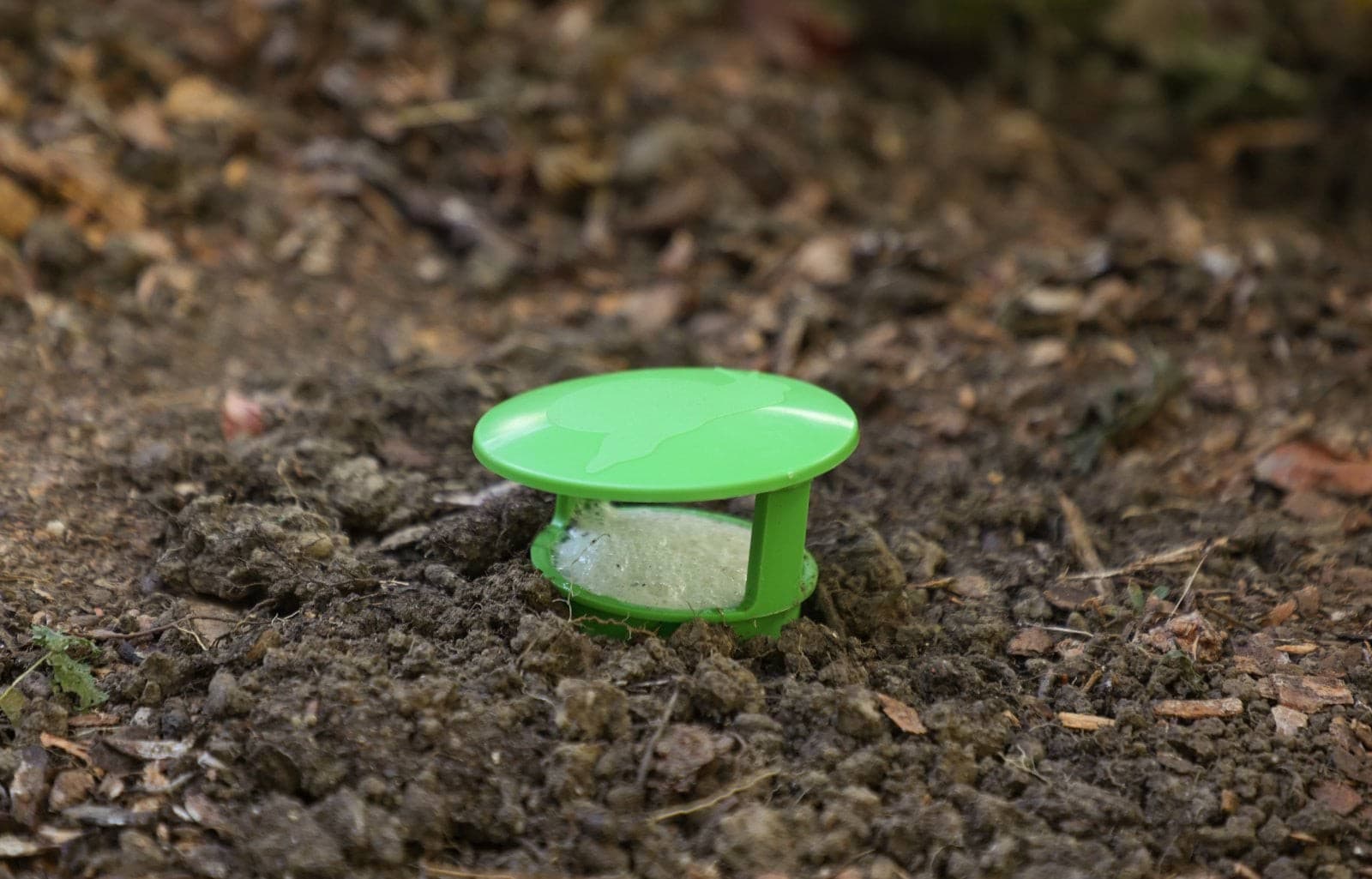Pułapka na ślimaki SnailBowl CIT skuteczna ochrona ogrodu