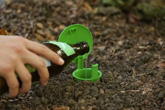 Pułapka na ślimaki SnailBowl CIT skuteczna ochrona ogrodu