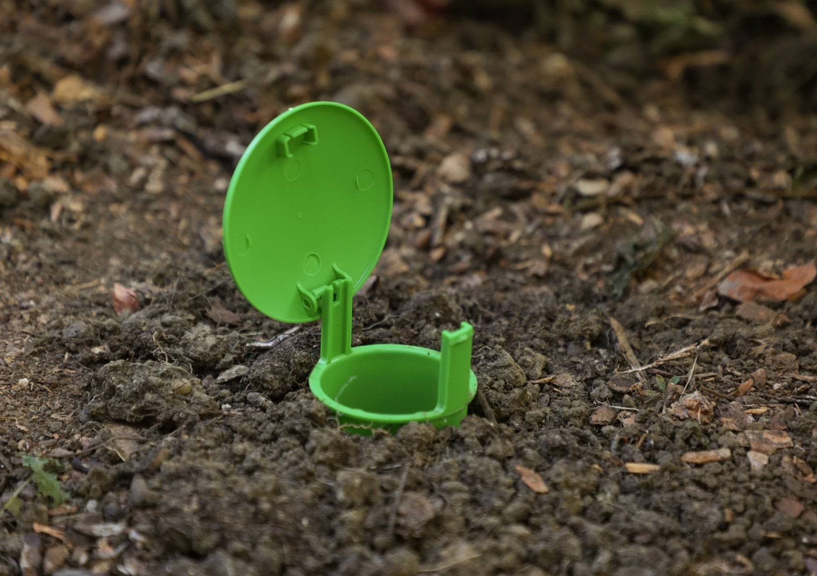 Pułapka na ślimaki SnailBowl CIT skuteczna ochrona ogrodu