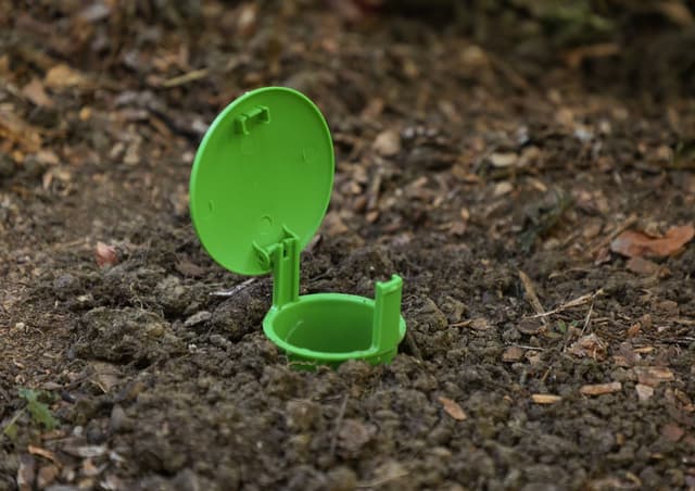 Pułapka na ślimaki SnailBowl CIT skuteczna ochrona ogrodu