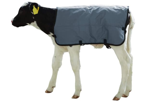 Derka dla cielaka Ripstopp, 80 cm, szara, Kerbl