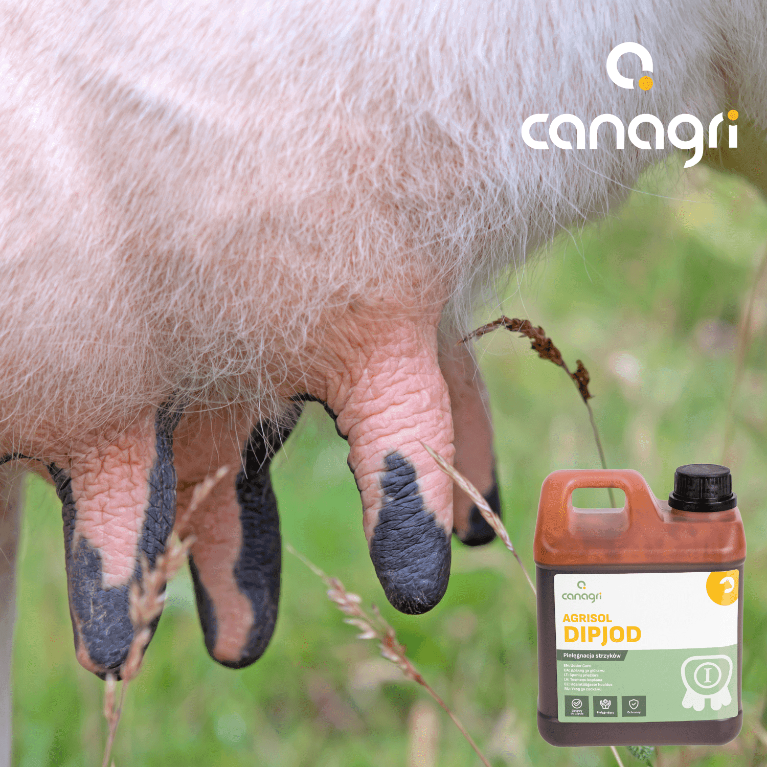 Preparat do dipingu Agrisol DipJod 72, 2 kg, Canagri