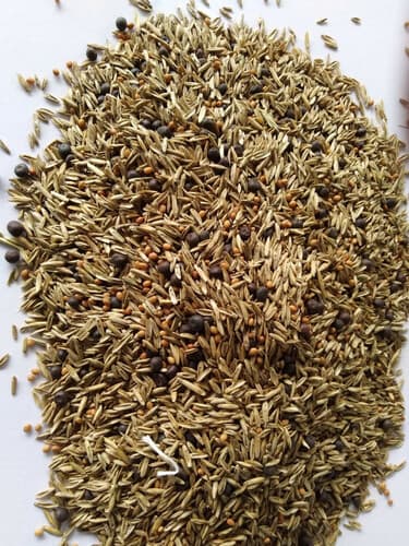 Agronas Mieszanka Gorzowska poplonowa 10kg