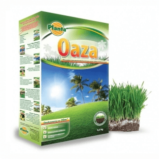 Planta trawa oaza 2kg