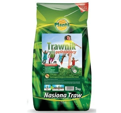 Planta trawa samogęstniejąca 5kg PL112/63/115/G143