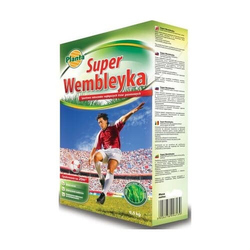 Planta trawa wembley sportowa 0.5kg PL012/63/115/G020