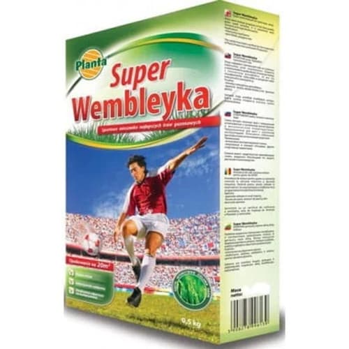 Planta trawa wembley sportowa 0.5kg PL012/63/115/G035/A