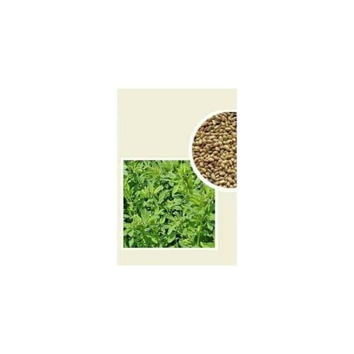Agronas Lucerna siewna Gea 10kg