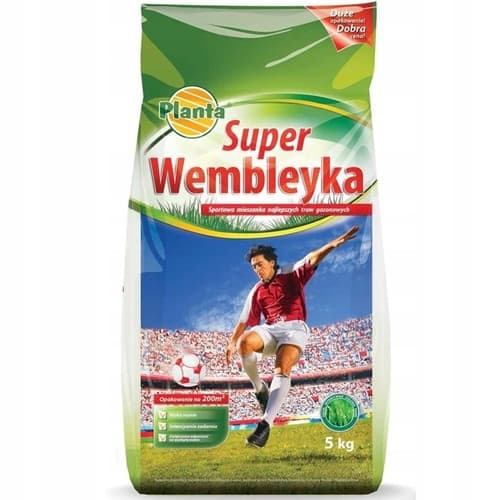 Planta trawa wembley sportowa 5kg PL312/63/115/G2309 Dp.2023.02.11