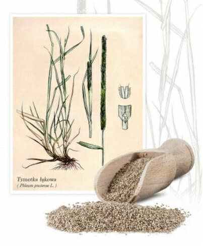 Planta tymotka łąkowa Alma 1kg