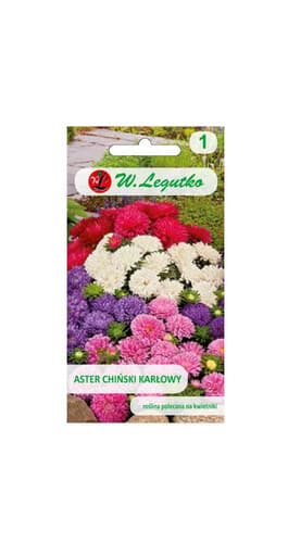 N-Aster chiński karłowy 1g+0.25g mieszanka