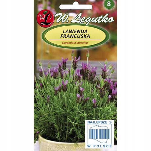N-Lawenda francuska purpurowa 0.03g