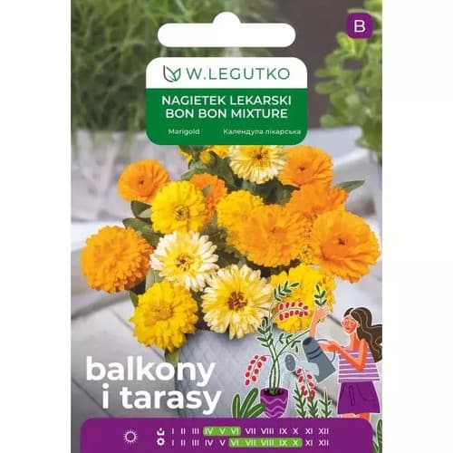 Nasiona nagietka lekarskiego Bon Bon Mixture 2g Legutko