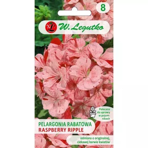 N-Pelargonia rabatowa Divas F1-Raspberry Ripple 0.04g