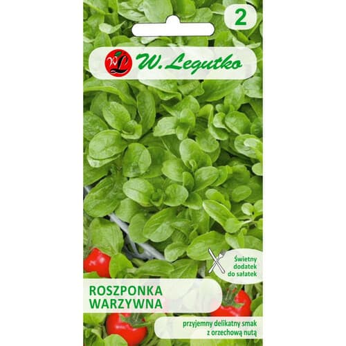 N-Roszponka warzywna Verte de Cambrai 2g