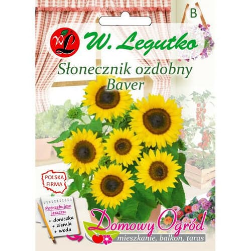 N-Słonecznik ozdobny karłowaty Baver 2g