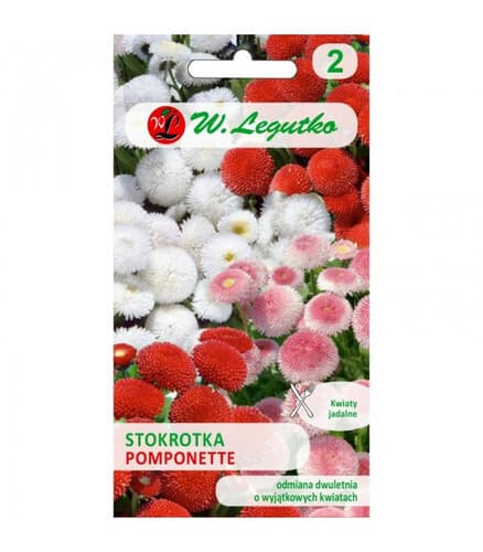 N-Stokrotka pospolita Pomponette 0.1g