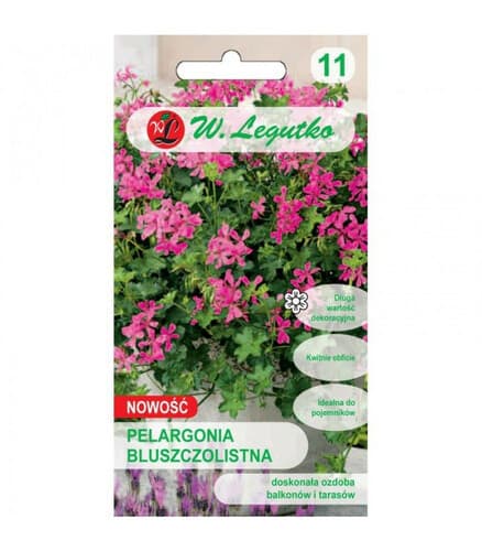N-Pelargonia bluszczolistna Fuchsia F1 różowopurpurowa 5 nasion