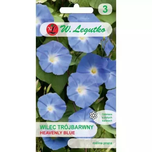 N-Wilec trójbarwny Heavenly Blue 2g