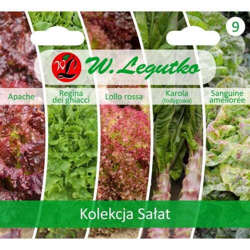 N-Kolekcja sałat ST