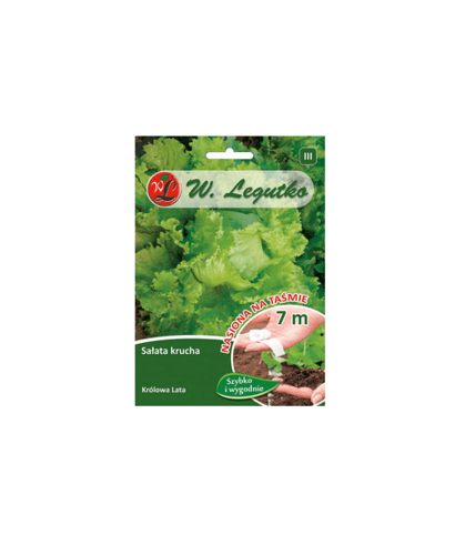 N-Taśma sałata Królowa Lata 7m ST