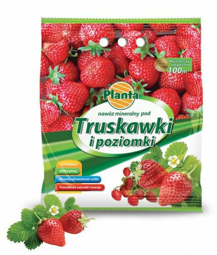 Planta nawóz truskawka/poziomka 1kg