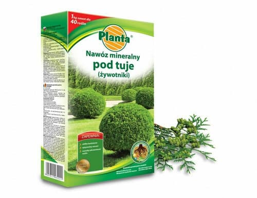 Planta nawóz tuje/żywotniki 1kg
