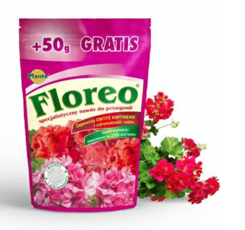 Planta Floreo pelargonia 250g