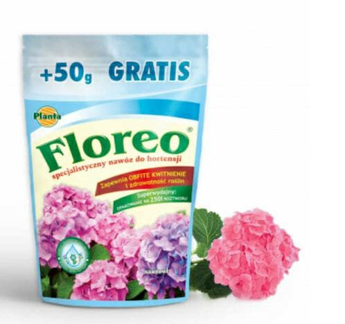 Planta Floreo hortensja 250g