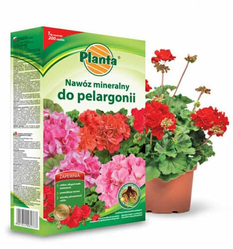 Planta nawóz pelargonia 1kg