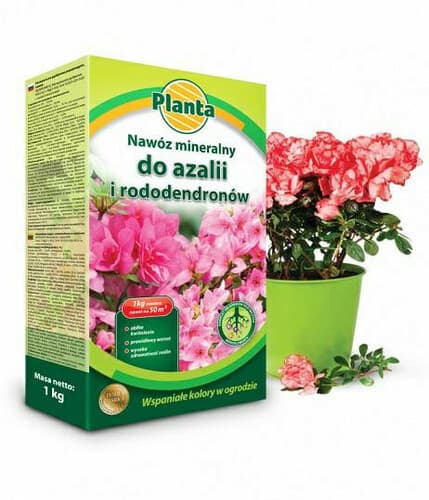 Planta nawóz rododendron/azalia 1kg