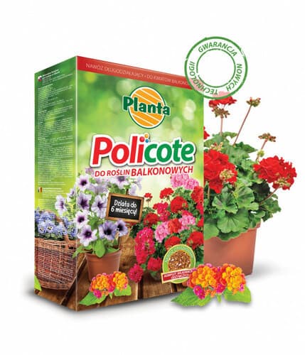 Planta policote 0.5kg kwitnące/balkonowe