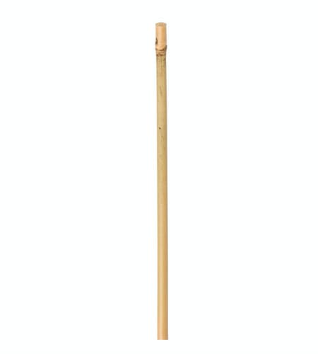 Planta tyczka bambusowa   75cmx8/10mm