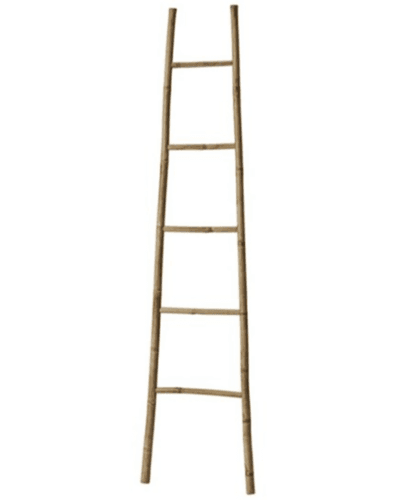 Planta drabinka bambusowa   210cm