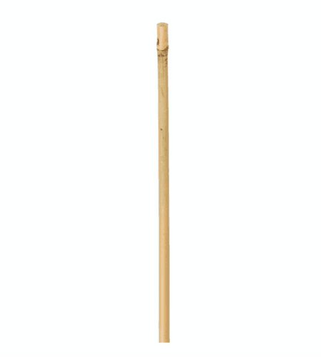 Planta tyczka bambusowa   90cmx10/12mm